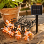 Luz solar abeja 5m blanca cálida — lifestyle