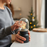 Luz Navideña Estrella con Ventosa — lifestyle