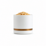 Recipiente Arroz Pequeño Omnix — fondo blanco